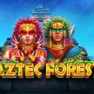 Aztec Forest